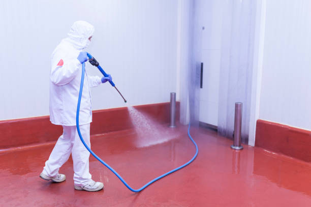Paint Preparation in Union Beach, NJ